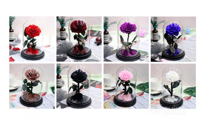 Вечная роза в колбе Вечная роза в колбе