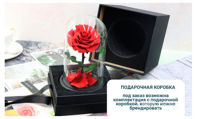 Вечная роза в колбе Вечная роза в колбе