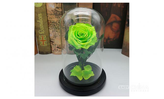 Вечная роза в колбе Вечная роза в колбе