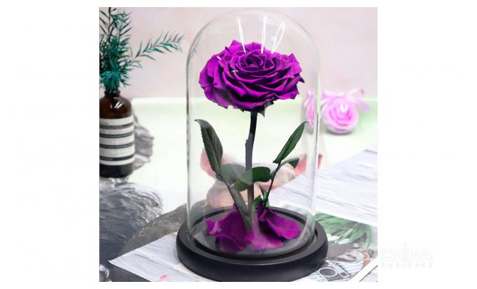 Вечная роза в колбе Вечная роза в колбе