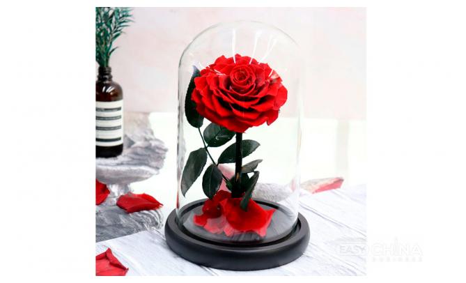 Вечная роза в колбе Вечная роза в колбе